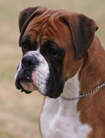 Cash at 19 months.
