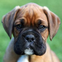Leroy