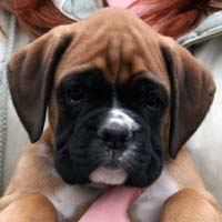 Ralph