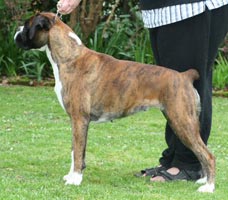 Roma at 3 years old