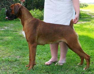Vala 12 months old