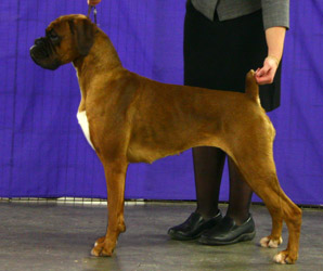 Vala 12 months old