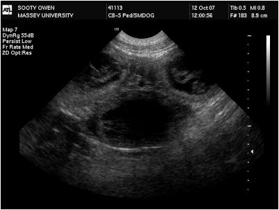 Sooty ultrasound.